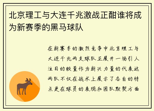 北京理工与大连千兆激战正酣谁将成为新赛季的黑马球队