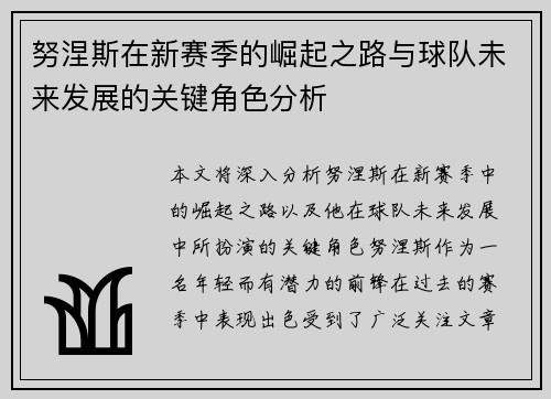 努涅斯在新赛季的崛起之路与球队未来发展的关键角色分析