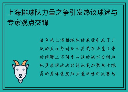 上海排球队力量之争引发热议球迷与专家观点交锋