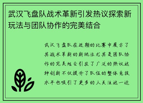 武汉飞盘队战术革新引发热议探索新玩法与团队协作的完美结合